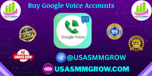 Buy Google Voice Accounts